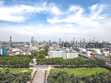 扬子石化化工厂